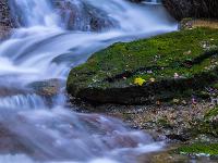 Blatt auf bemooster Felszunge bei Kaskade - Talgraben